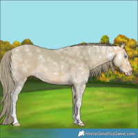 Horse Color:Watercolor Perlino Ice