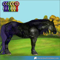 Horse Color:ERROR: UNKNOWN ANOMALY