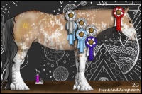 Horse Color:Bay Dun Sabino  and Bay Dun Sabino 