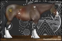 Horse Color:Brown Sabino Rabicano 