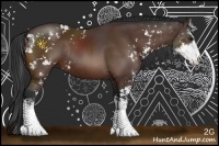 Horse Color:Brown Sabino Rabicano 