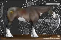 Horse Color:Brown Sabino Rabicano 