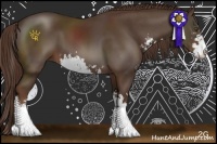 Horse Color:Liver Chestnut Sabino