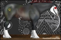 Horse Color:Brown Sabino Rabicano 