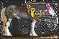 Horse Color:Liver Chestnut Sabino