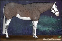 Horse Color:Brown Ice Splash