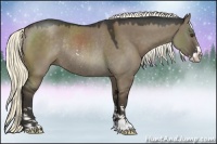 Horse Color:Liver Red Dun Sabino Rabicano 