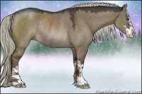 Horse Color:Liver Red Dun Sabino Rabicano