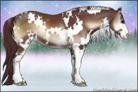 Horse Color:White Spotted Chocolate Brown Onyx Sabino