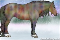 Horse Color:Nacre Brown Rabicano