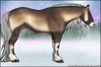Horse Color:Liver Red Onyx