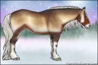 Horse Color:Liver Red Onyx