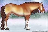 Horse Color:Chocolate Brown Onyx 