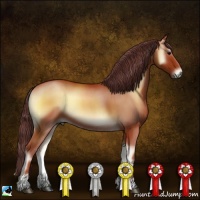Horse Color:Chocolate Bay Onyx 