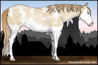 Horse Color:White Spotted Smoky Black Pearl Splash Rabicano 