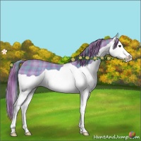 Horse Color:Watercolor Plaid Chestnut Splash