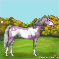 Horse Color:Watercolor Silver Bay Roan Dun Frame 