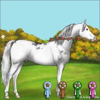 Horse Color:Silver Black Chinchilla Sabino Splash