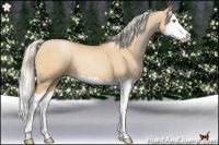 Horse Color:Silver Brown Pearl Dun Splash 