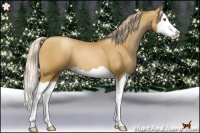 Horse Color:Chestnut Pearl Splash