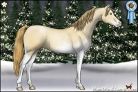 Horse Color:White Spotted Red Dun Pearl 