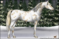 Horse Color:White Spotted Chestnut Pearl Splash 