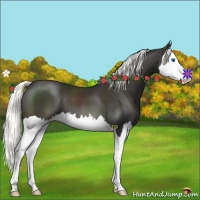 Horse Color:Liver Chestnut Mushroom Splash 