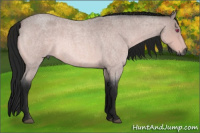 Horse Color:Gray Bay Chinchilla Roan 