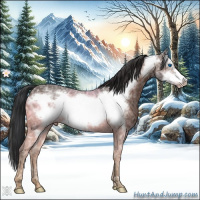 Horse Color:Bay Ice Frame 