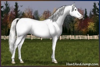 Horse Color:Liver Chestnut Mushroom Snowflake Varnish