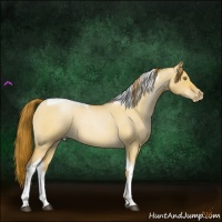 Horse Color:Bay Roan Pearl Dun Tobiano