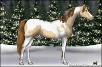 Horse Color:Bay Pearl Dun Tobiano 