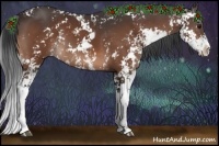 Horse Color:Brown Sabino