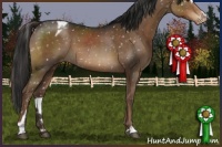 Horse Color:Liver Chestnut Sabino Snowflake Varnish