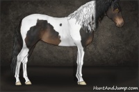 Horse Color:Liver Chestnut Tobiano 