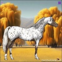 Horse Color:Liver Chestnut Mushroom Near Leopard Rabicano