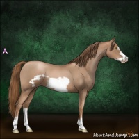 Horse Color:Liver Red Roan Pearl Frame 