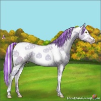 Horse Color:Painted Watercolor Silver Classic Champagne Dun Sabino Splash 