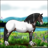Horse Color:Brown Frame Snowcap Rabicano 