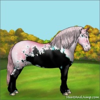 Horse Color:Watercolor White Spotted Chocolate Palomino Roan Pearl Frame 