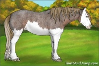 Horse Color:Liver Red Roan Splash 