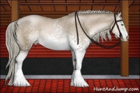 Horse Color:White Spotted Chocolate Palomino Roan Pearl