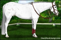 Horse Color:White Spotted Bay Roan Splash Leopard 