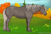 Horse Color:Silver Black 
