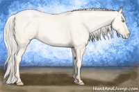 Horse Color:Silver Amber Cream Champagne Roan Pearl