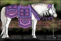 Horse Color:White Spotted Silver Bay Splash 