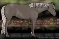 Horse Color:Silver Black