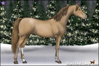 Horse Color:Black Pearl 