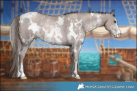 Horse Color:Platinum White Spotted Black Pearl Sabino