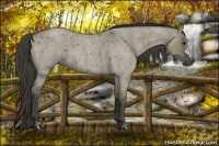 Horse Color:Smoky Grullo Roan 